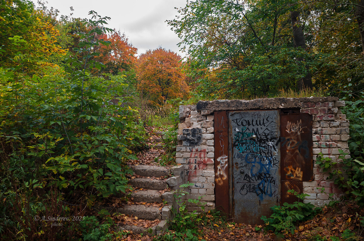 В сентябре - Александр Синдерёв