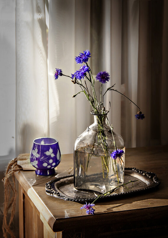 Последние васильки... - Bosanat 