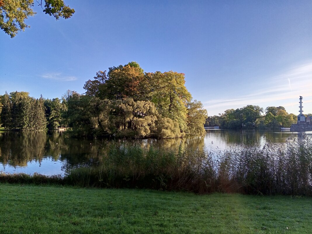 Осень - Сапсан 