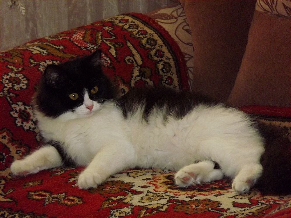 Такая милашка! - Нина Андронова