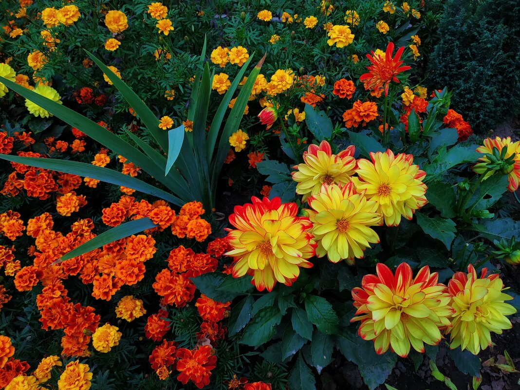 Любят ли цветы физики-теоретики? :-) - Андрей Лукьянов