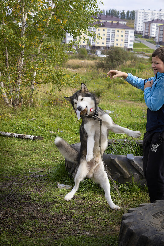 Ярик. - leff Postnov
