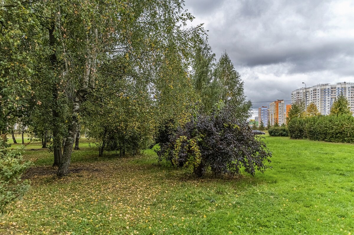 В сквере - Валерий Иванович