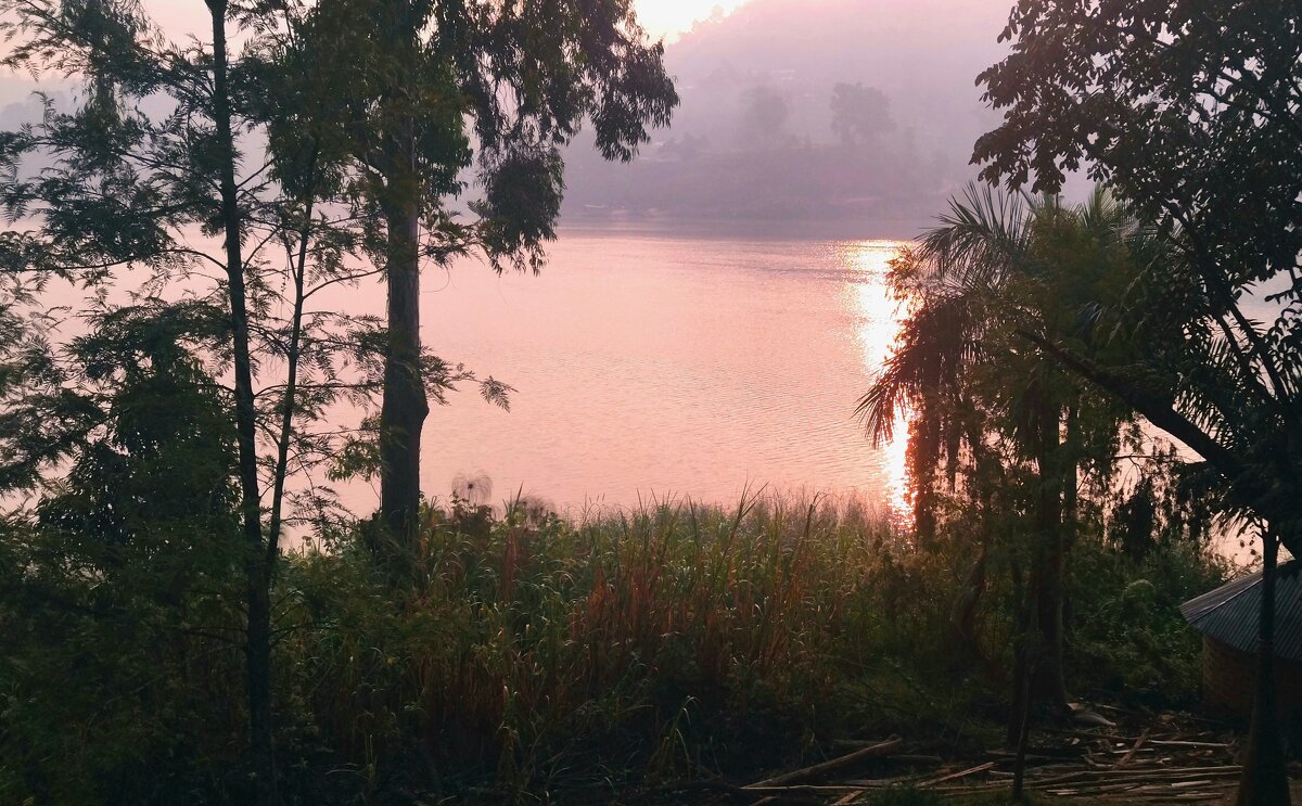 Уганда. Рассвет на Буньони. - Игорь Матвеев 