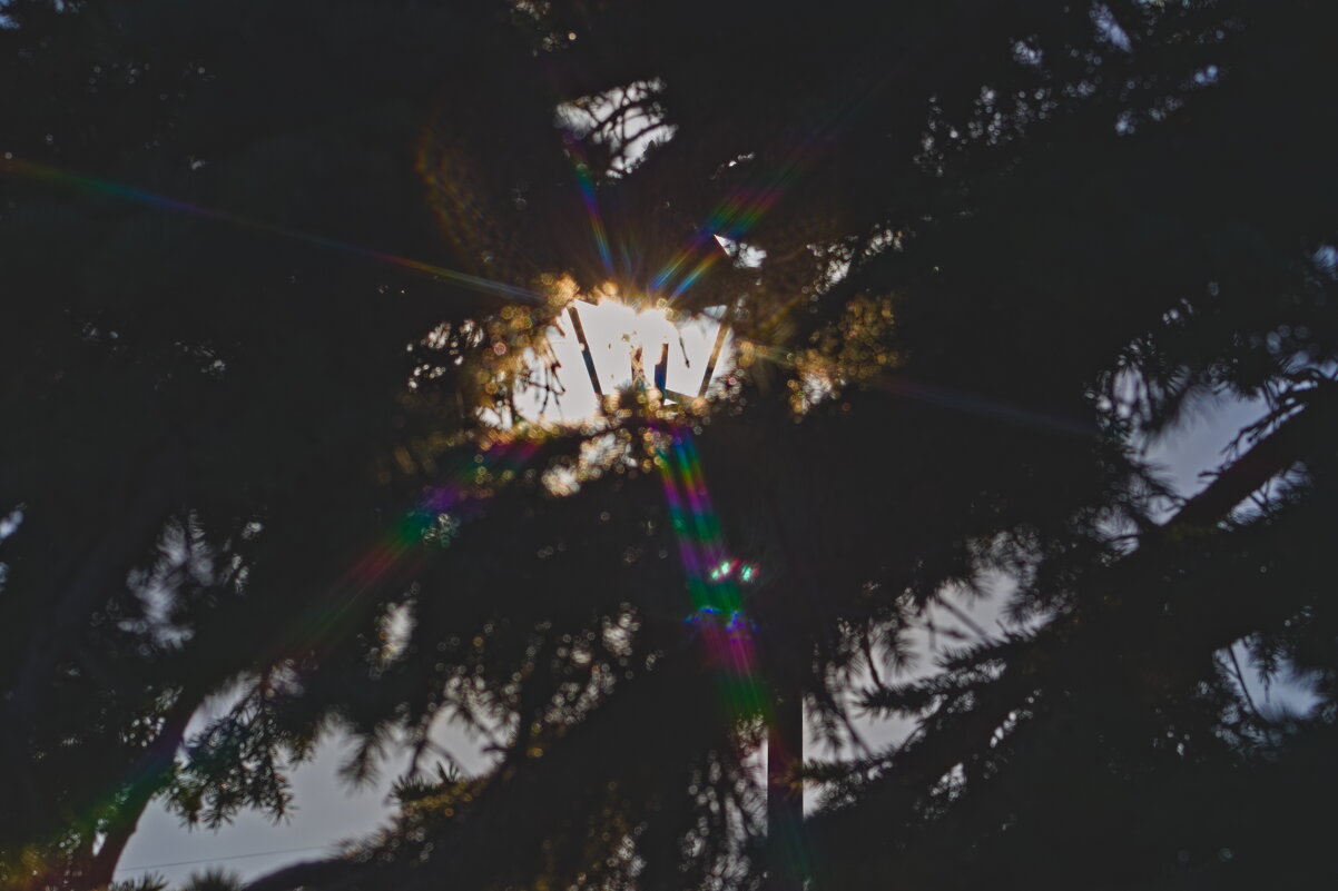 Фонарь - Giant Tao /