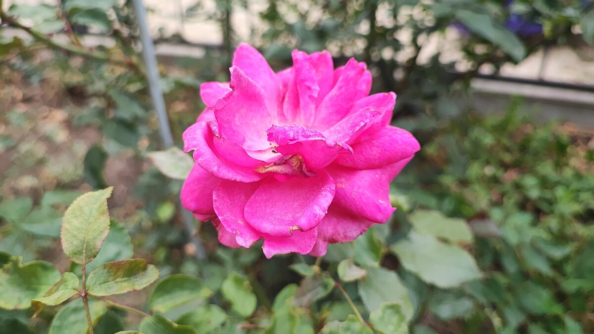 ,,, - Сергей Тимоновский