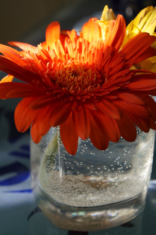 * * * - Алёна Савина