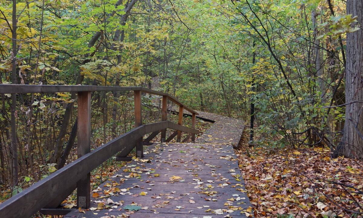 Осенняя дорога - Дмитрий И_
