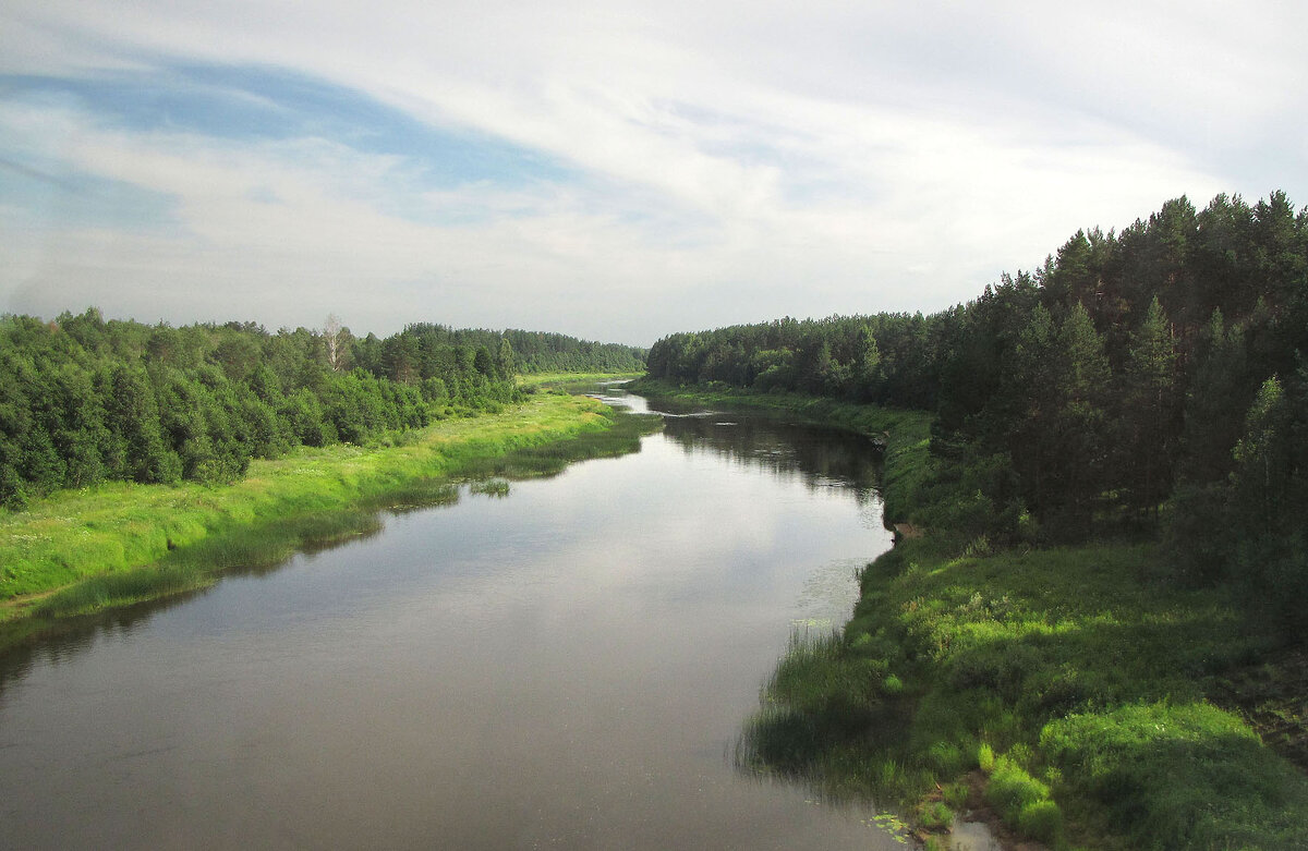 Река Чагодоща в районе деревни Лентьево - Александр Ильчевский 