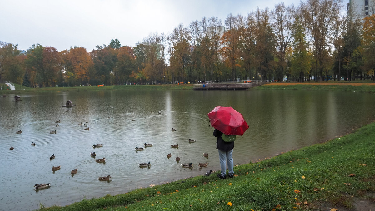 Люди и Птицы - юрий поляков