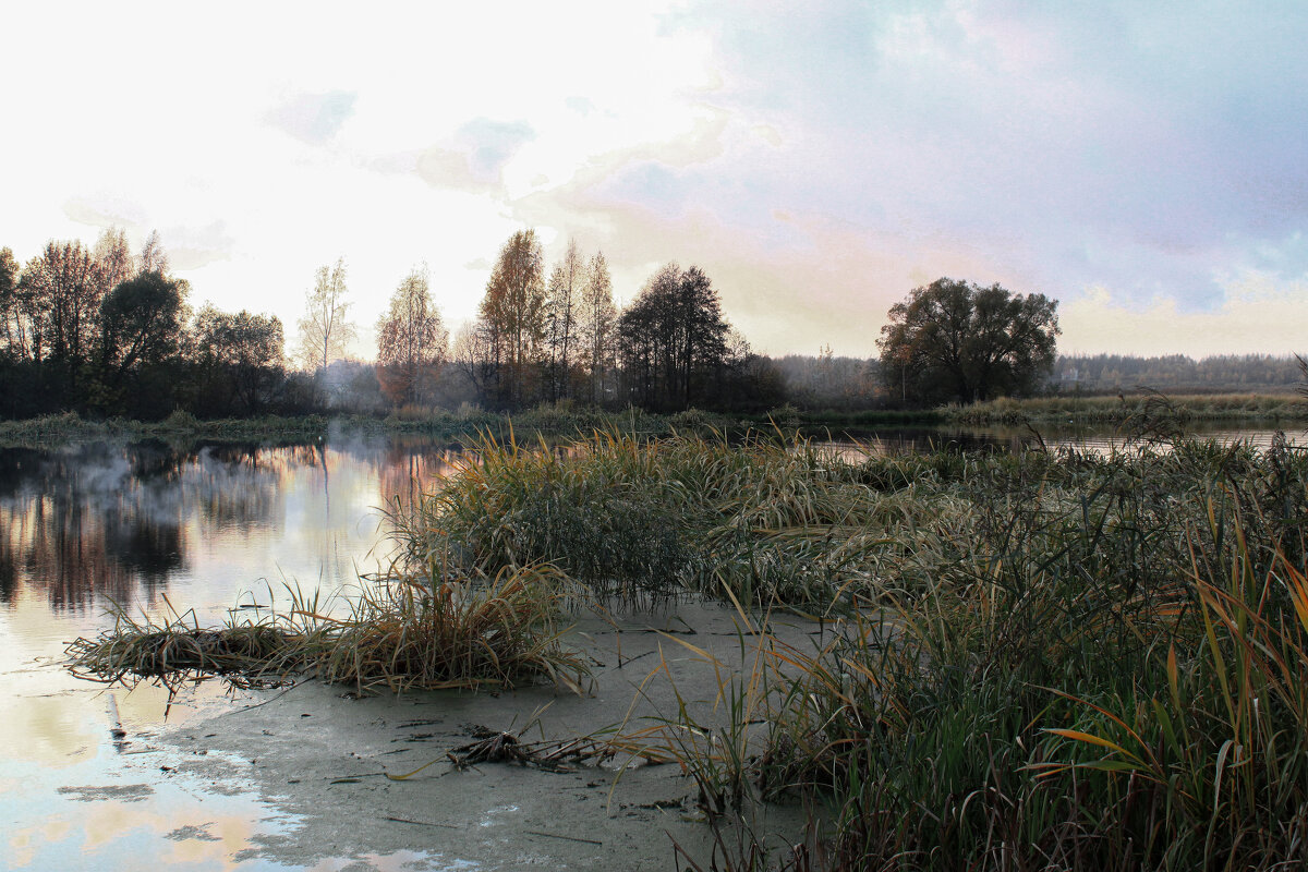 в тихом омуте ... - Владимир Зеленцов