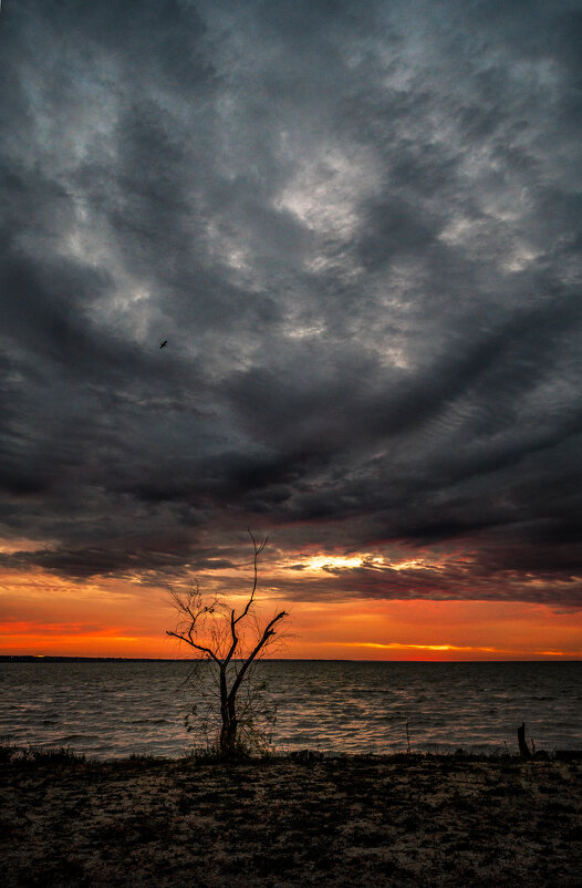 Хмурое утро - Ирина 
