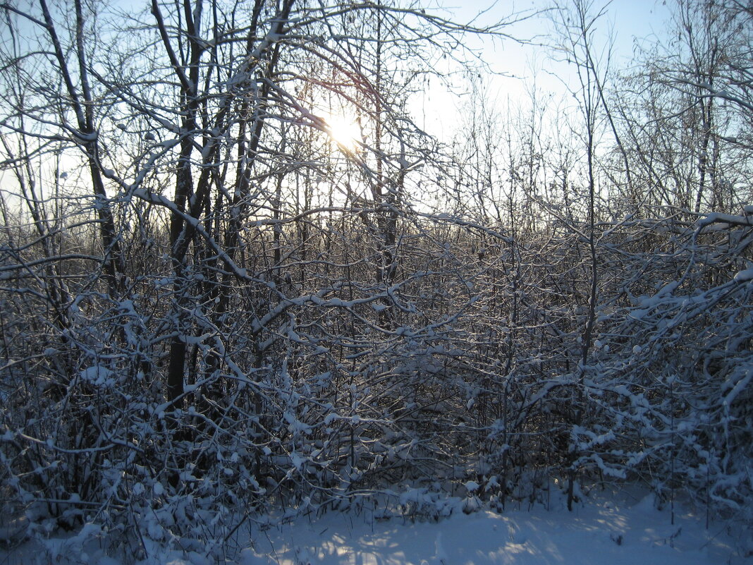 Зима - Anna Ivanova