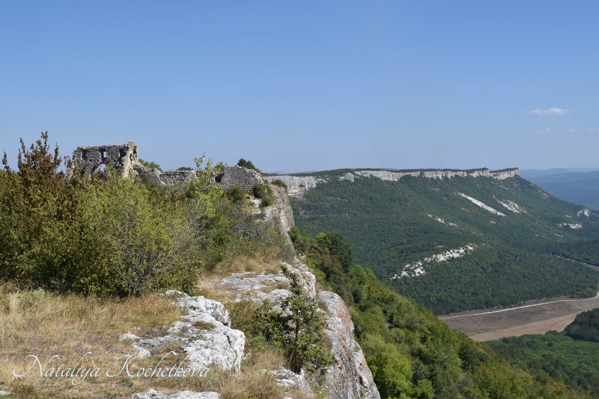 Природа Крыма - Amazing Cosmea