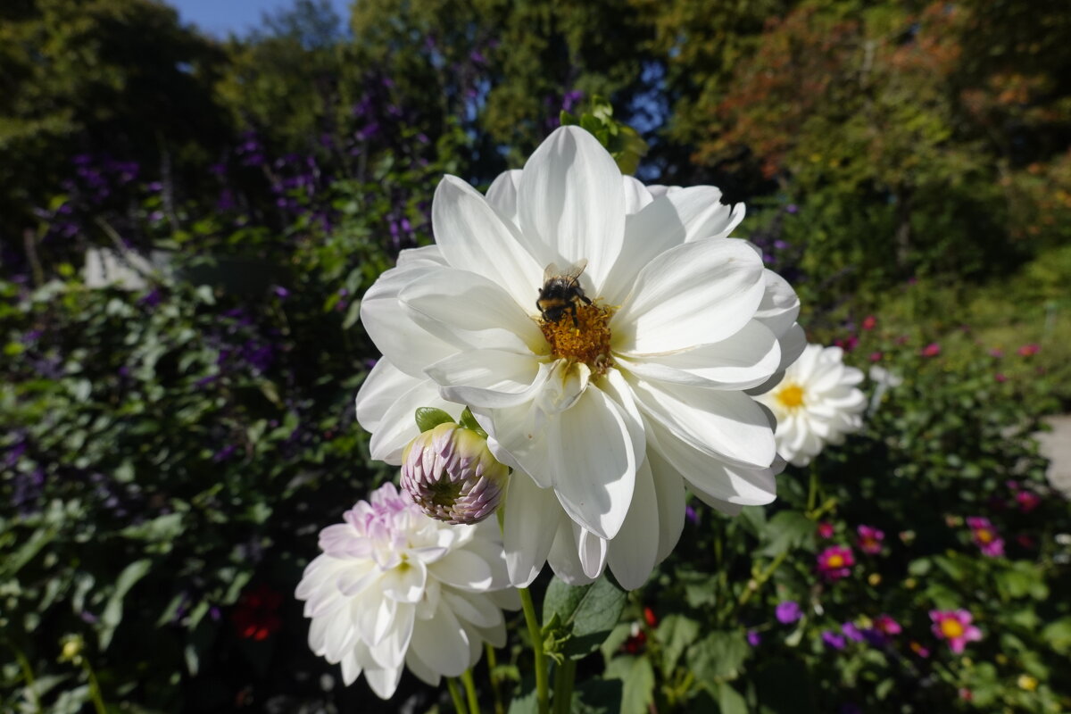 Блаженства - видеть этот чудный мир... - Галина 