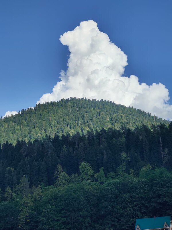 В Абхазии - Ирэн 