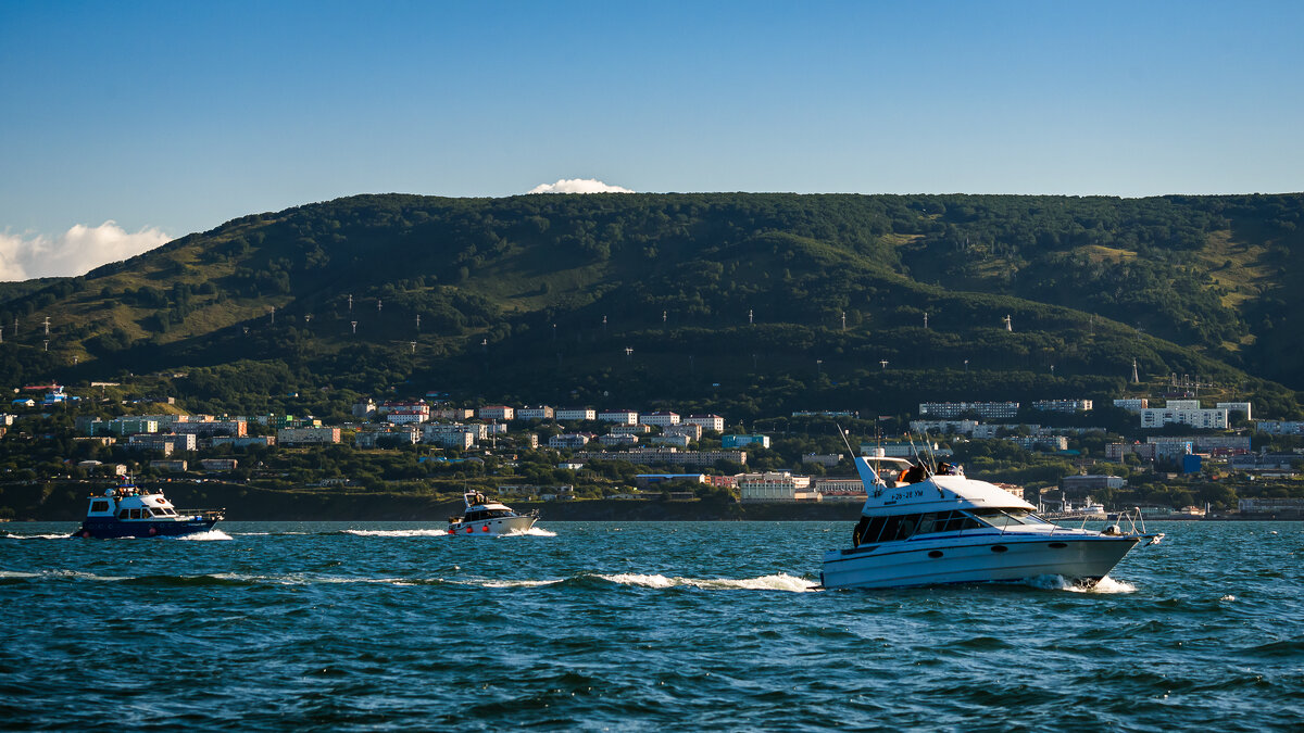 ... - Жора Житников