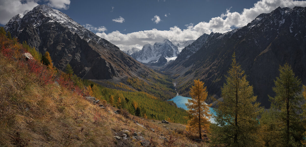 * - Александр Иванов