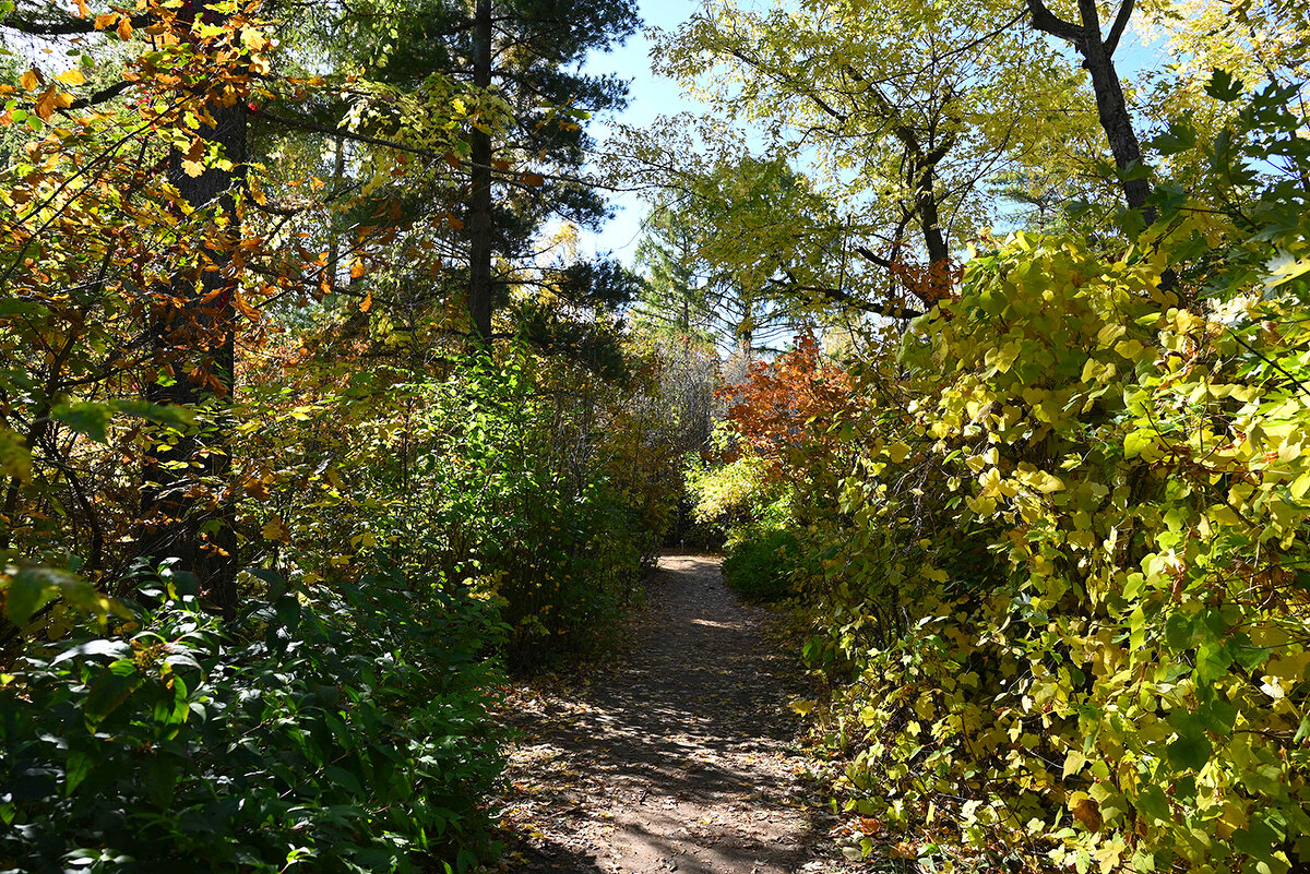 Во власти осени. - Валерий Медведев