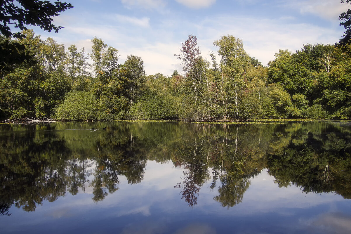 **** - Андроник Александр 