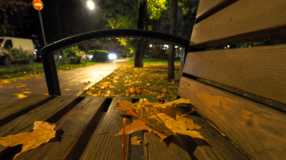 Осень в Городе - юрий поляков
