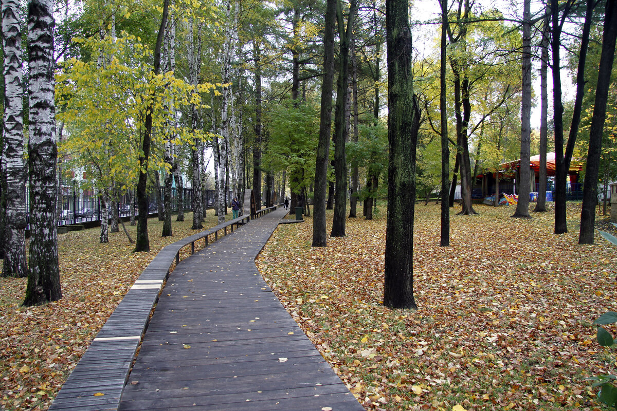 Осень в парке им. Горького - Евгений Шафер