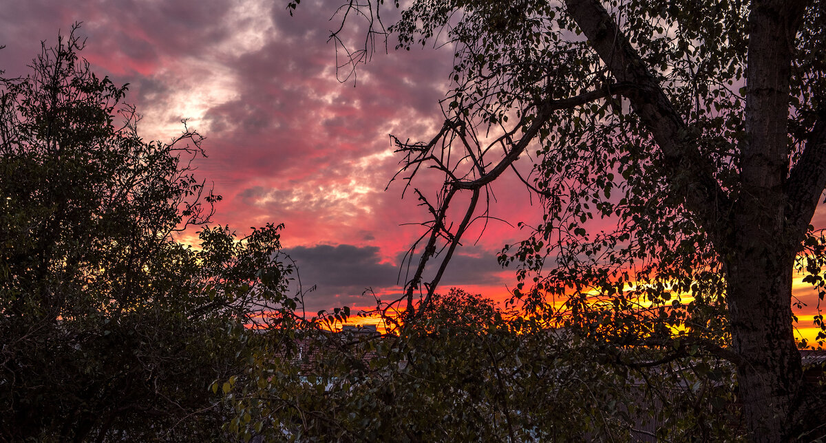 Закат. - Сергей Воротников