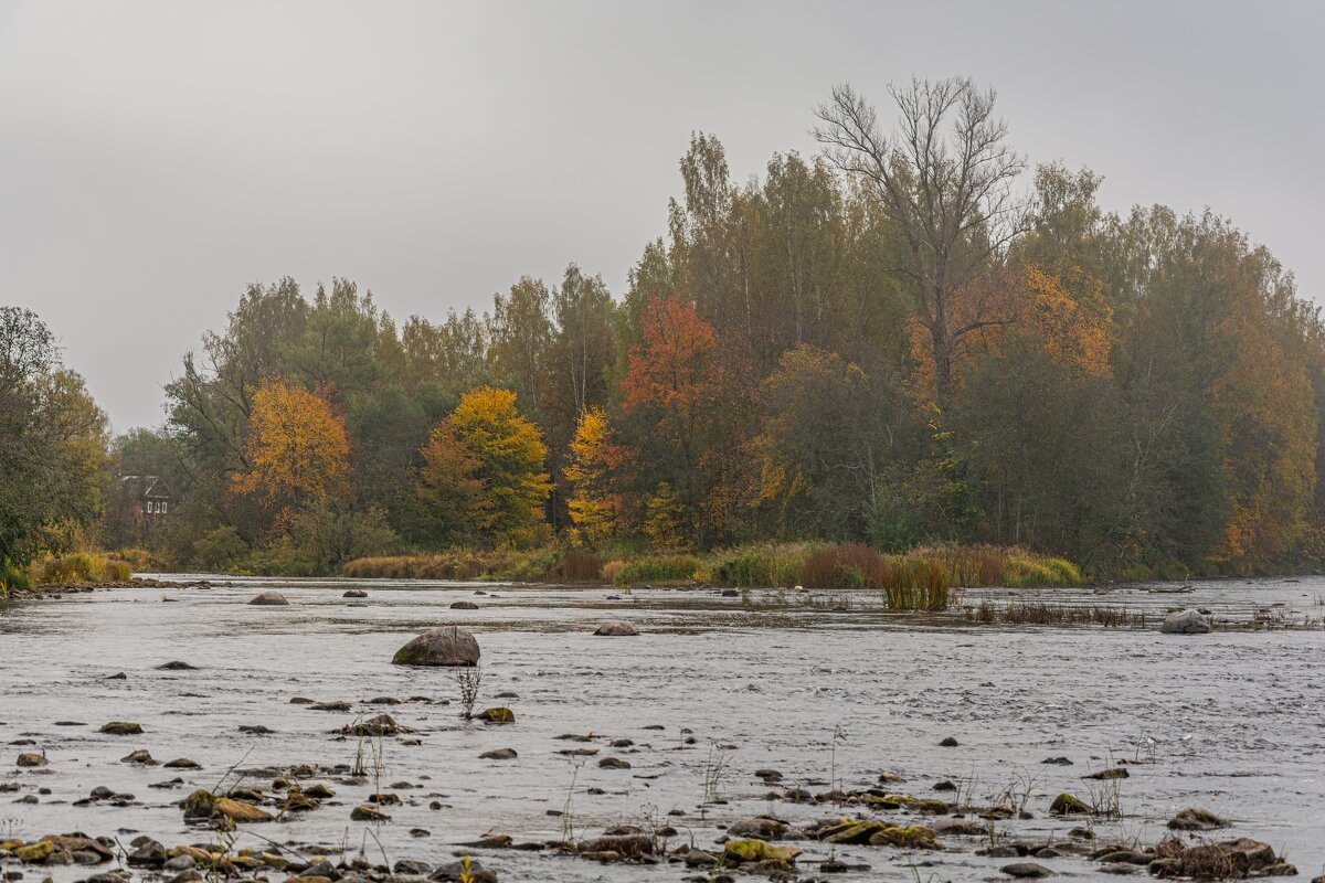 Когда приходит осень - Александр Филатов