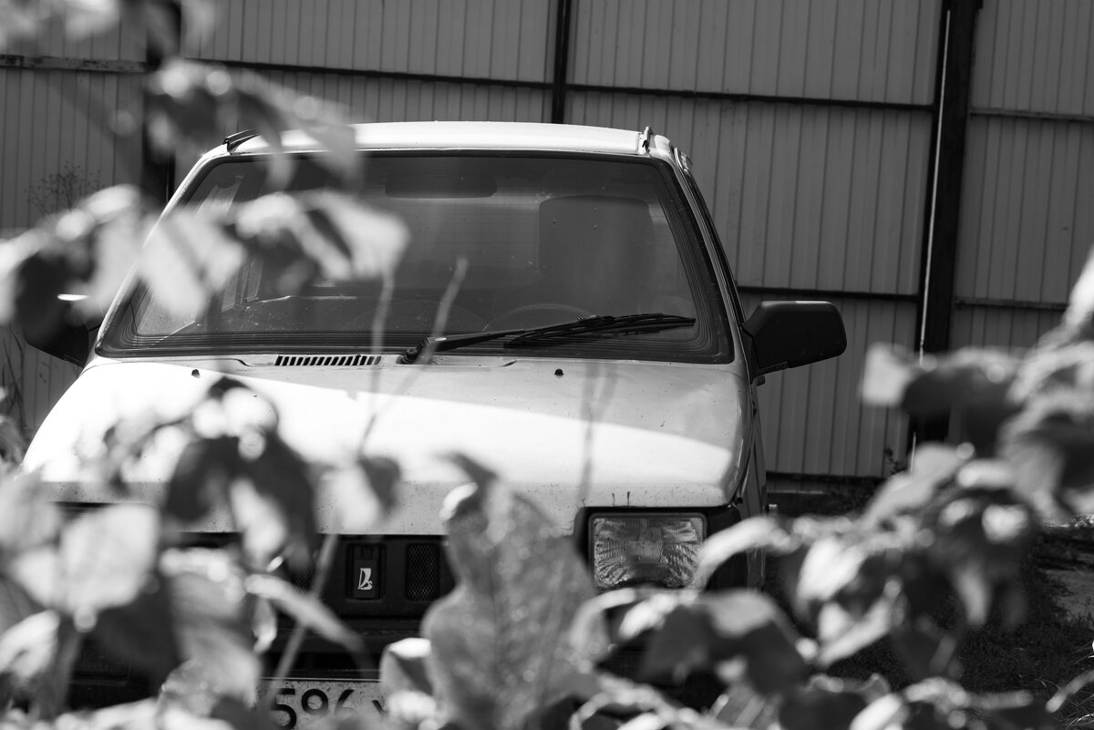 Автомобиль выходного дня - Владимир Иванович