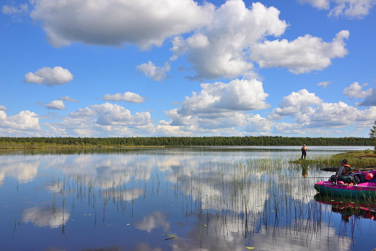 *** - Александр Хаецкий *** - Александр Хаецкий