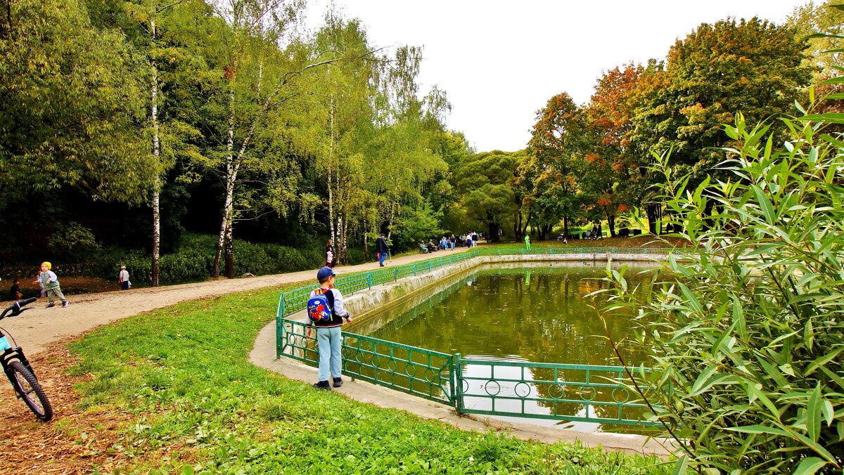 КОЛОМЕНСКОЕ - АЛЕКСАНДР 