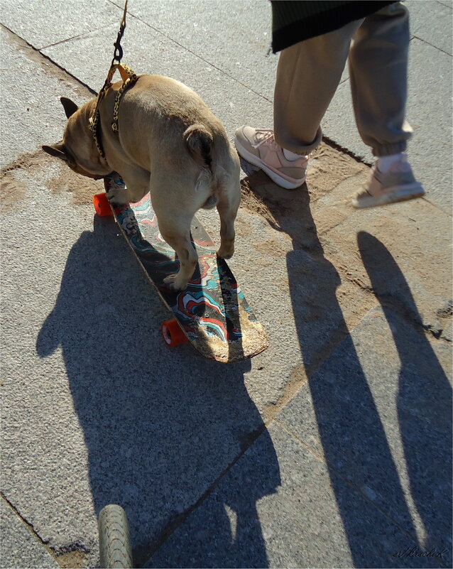 страсть - sv.kaschuk 