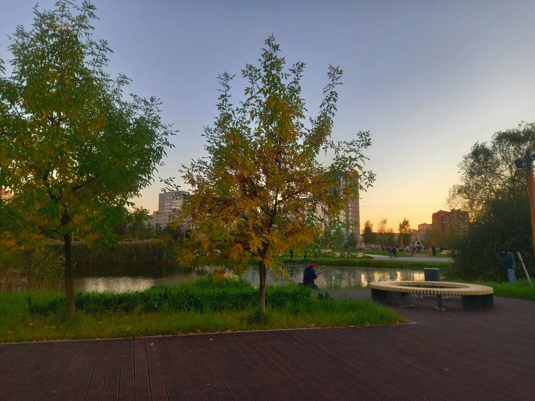 Осень - Сапсан 