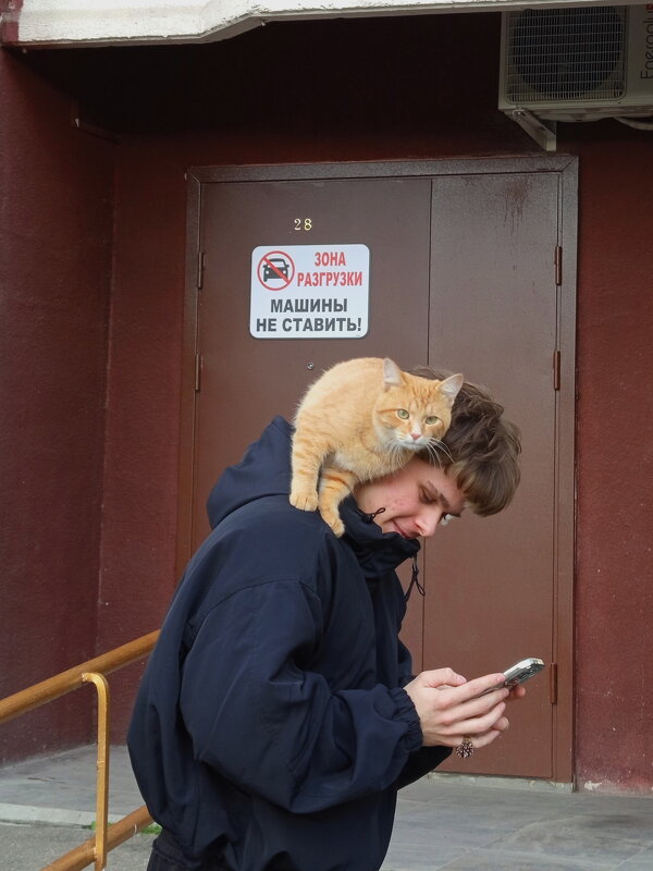 Ласковый ЧУЖОЙ кот - Андрей Лукьянов