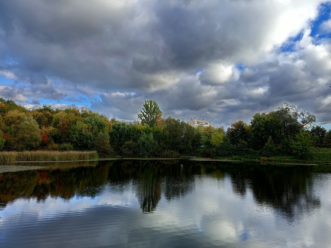 Тучи над прудом - Андрей Лукьянов