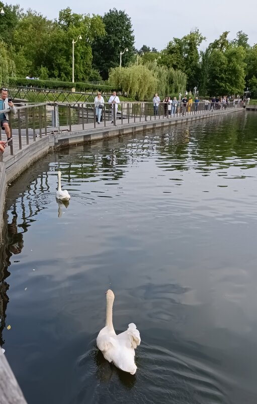 дальние уголки ВДНХ - Галина R...