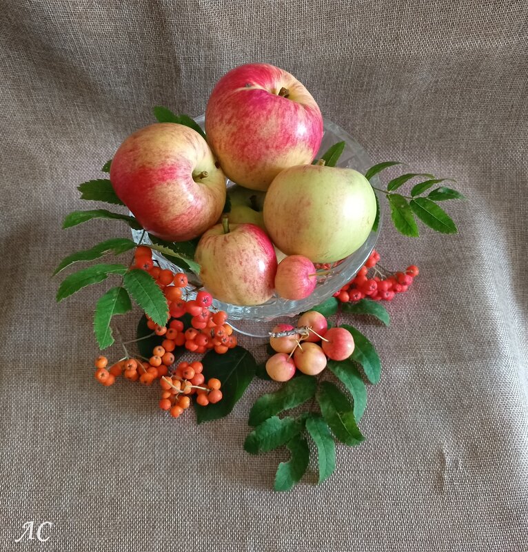 Дары осени - Любовь Сахарова