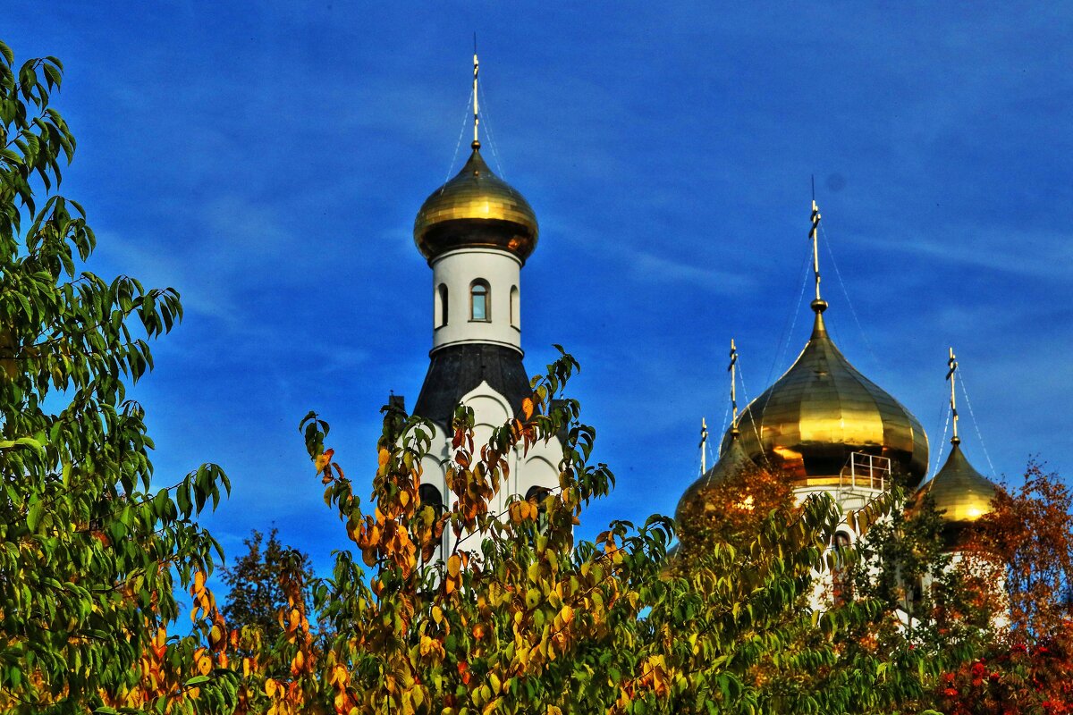 Свято-Духов храм золотой осенью! - Владимир 