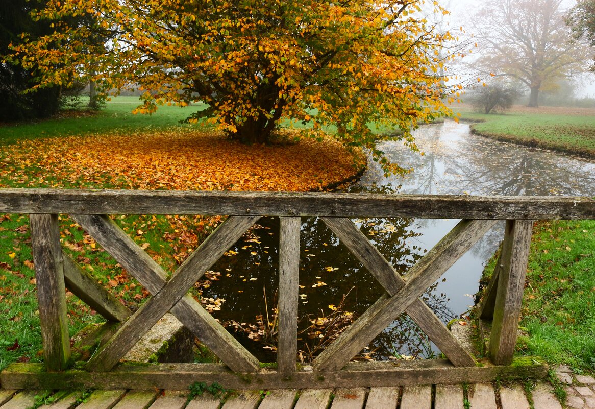В парке осень - Юрий. Шмаков