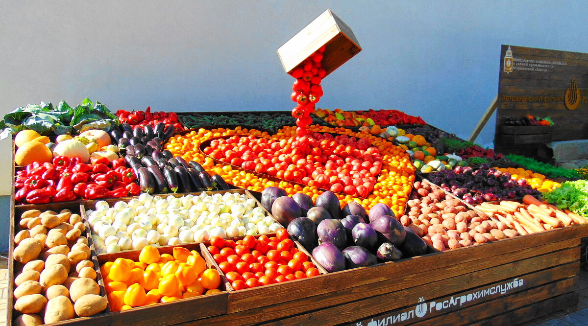 РосАгрохимслужба. - Александр Владимирович Никитенко