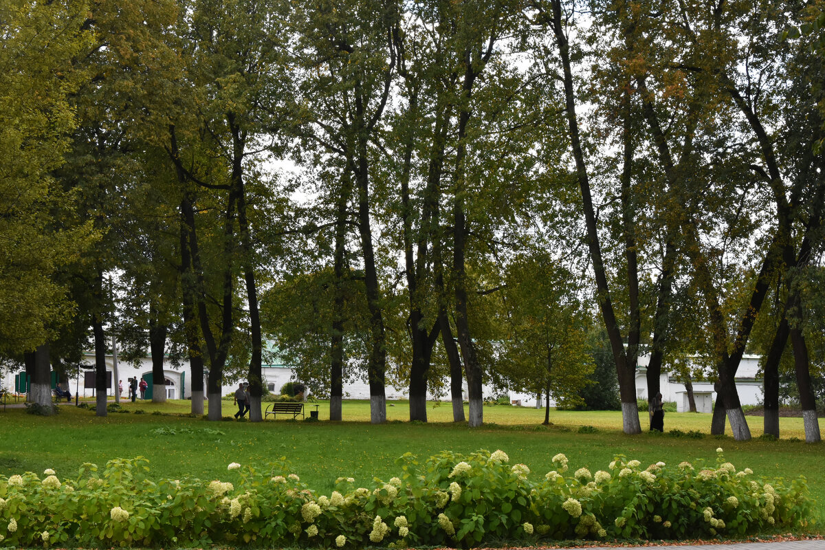 Владимирская область. Город Александров. Александровская Слобода. - Наташа *****