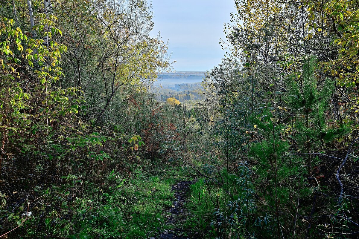 - - Владимир Мигонькин