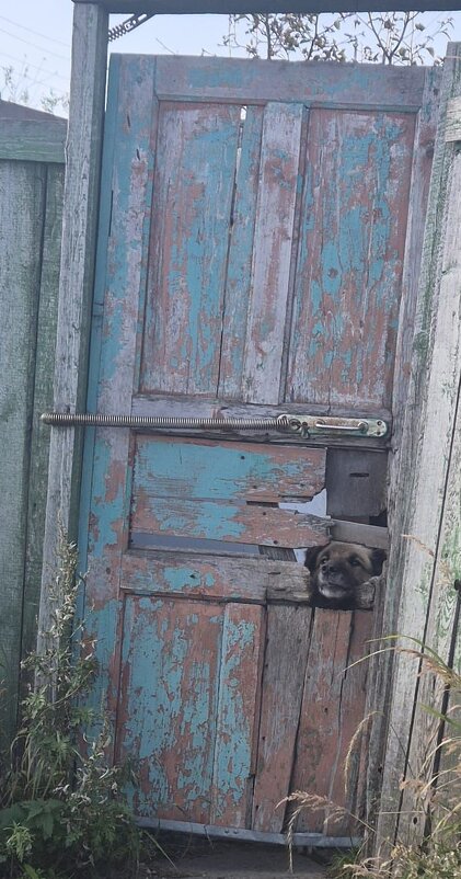 Секьюрити - Ильченций 