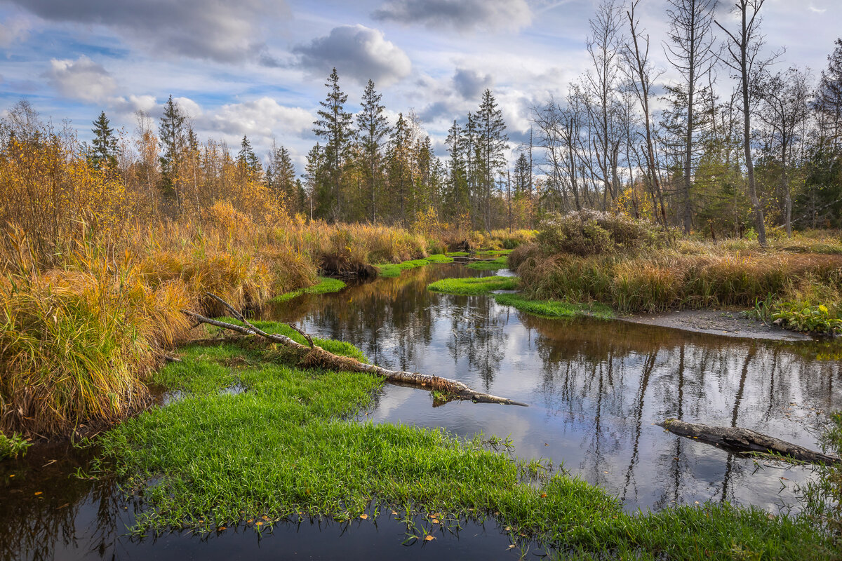 **** - Елизавета .