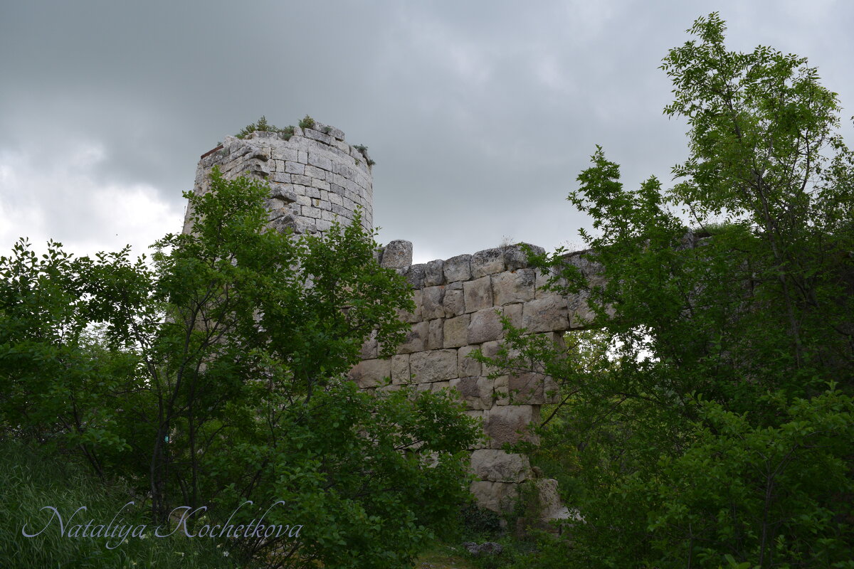 Природа Крыма - Amazing Cosmea