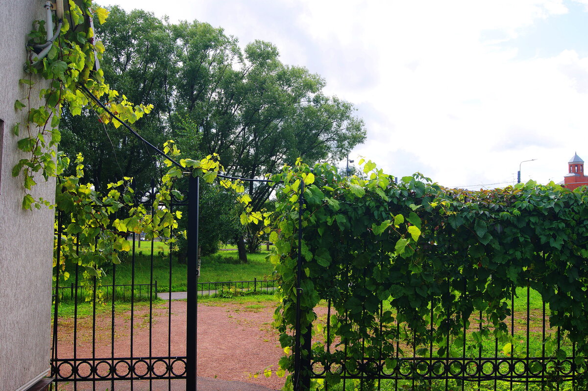 ПРЕДОСЕННЕЕ - Виктор Никитенко