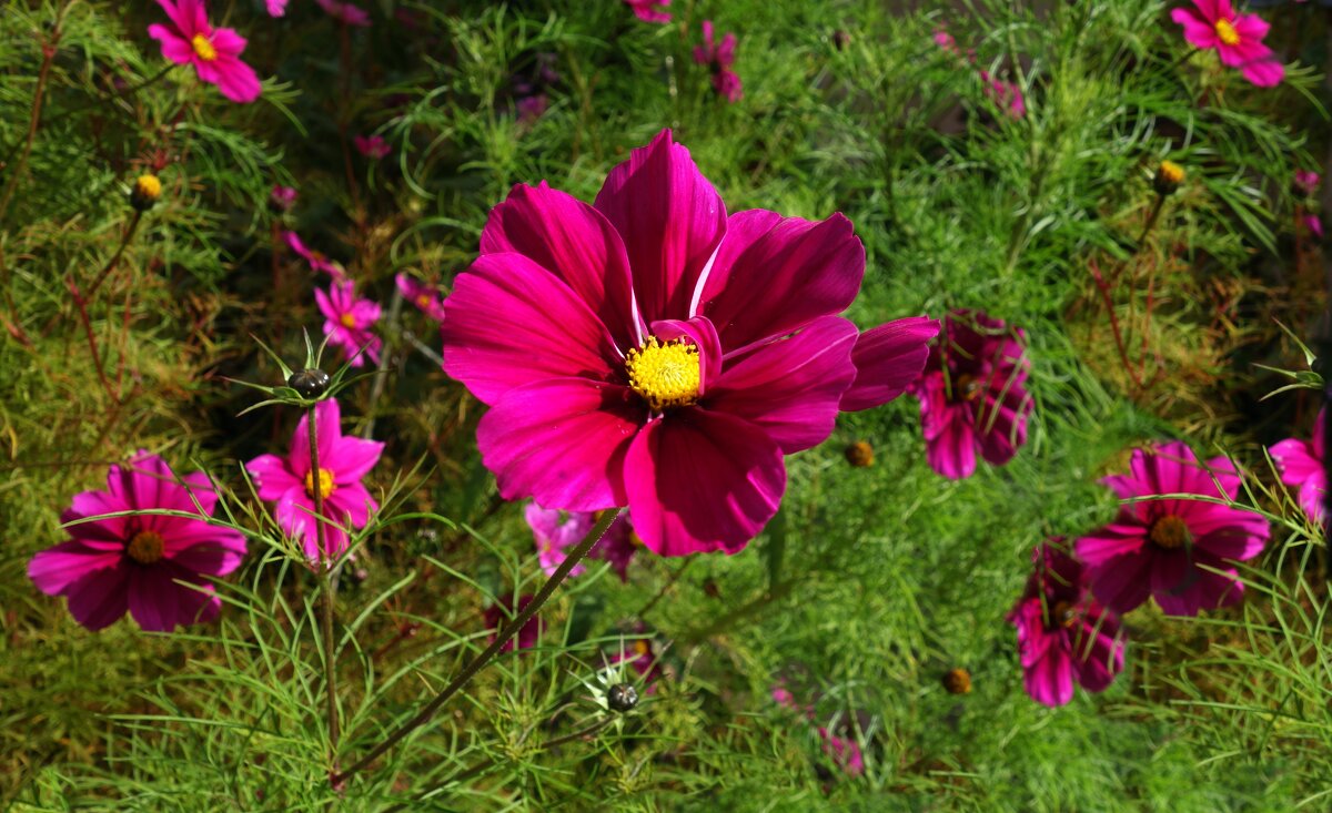 ... - Галина ... - Галина