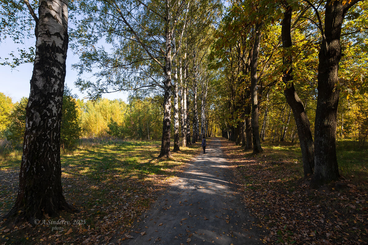 Экотропа Бурнаковская низина - Александр Синдерёв