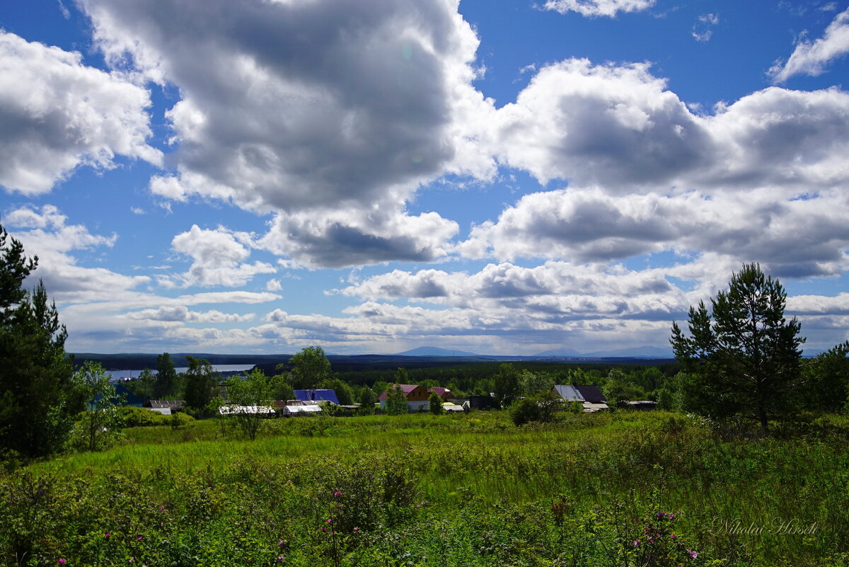 Взгляд на дачи... - Николай Гирш