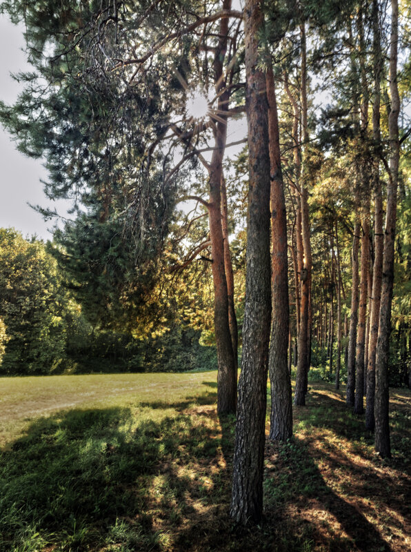 У парка - sorovey Sol